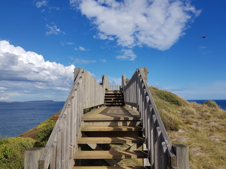 Phillip island, travel, Australia