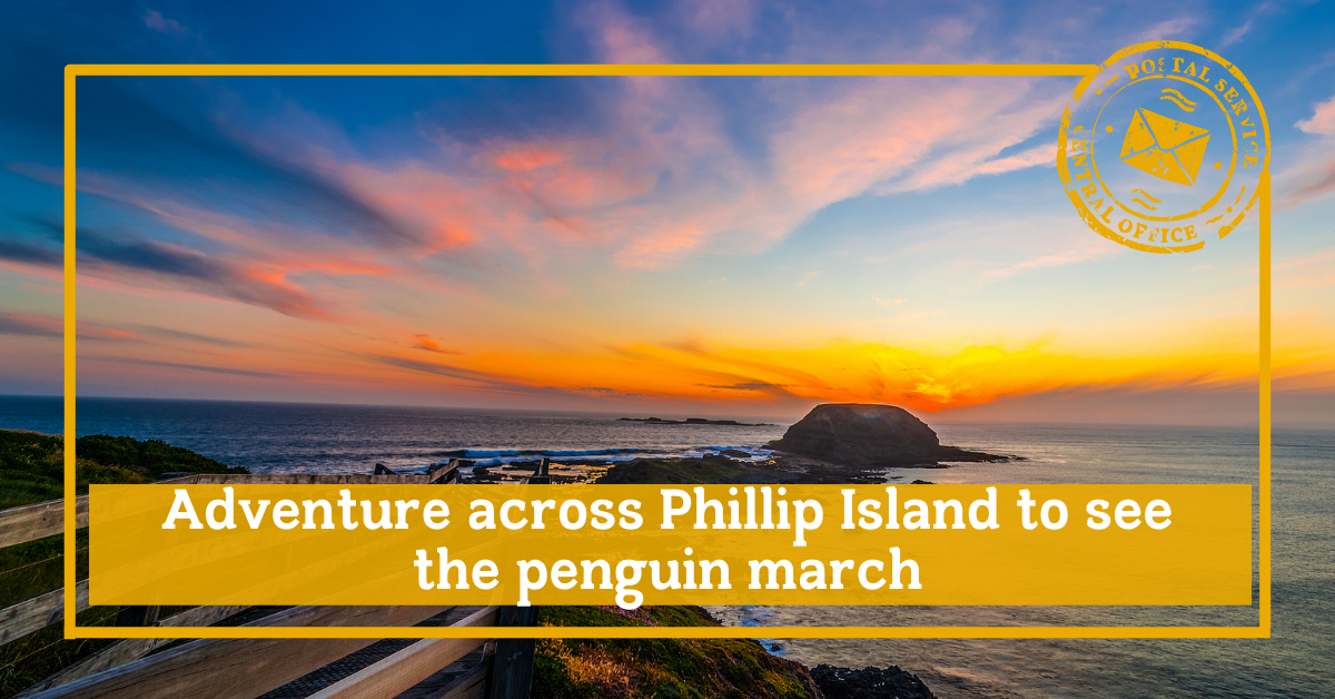 Adventure across Phillip Island to see the penguin march