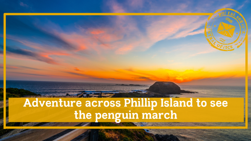 Adventure across Phillip Island to see the penguin march