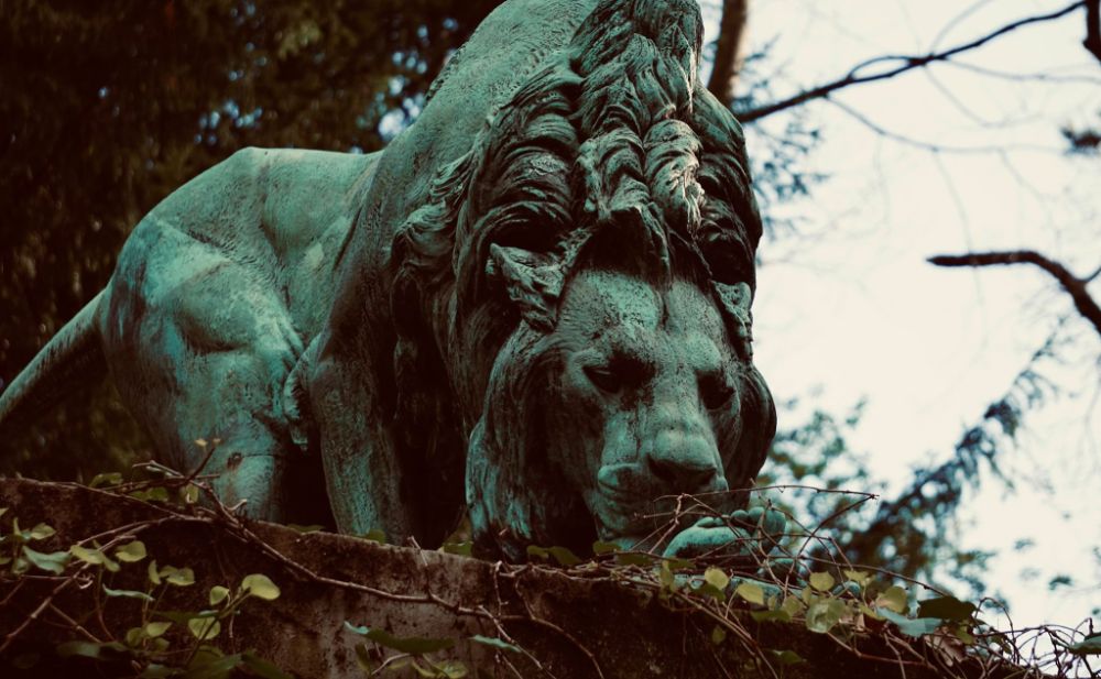 lion, paris, travel