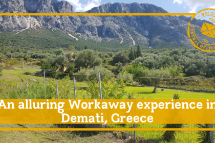 An alluring workaway experience in Demati, Greece