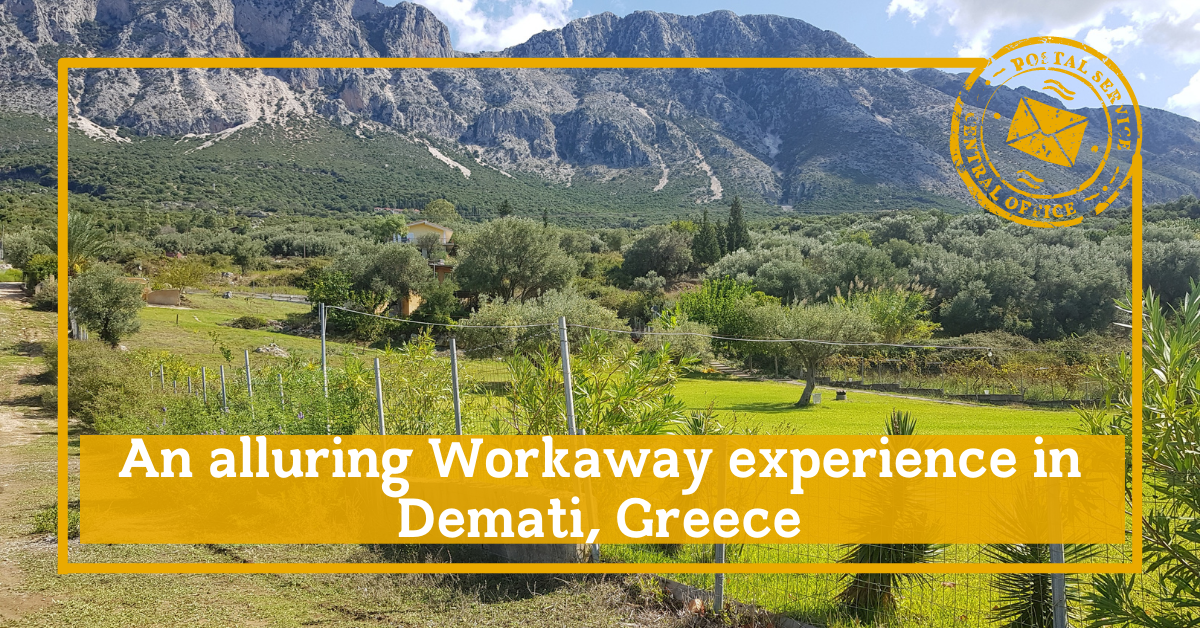 An alluring workaway experience in Demati, Greece